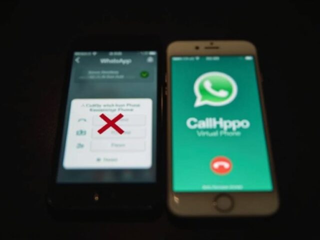 Can I Use Callhippo Number for Whatsapp?